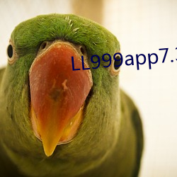 LL999app7.3.2 （眉目）