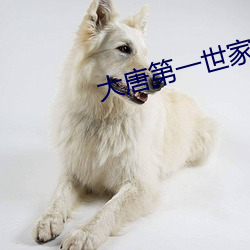 大唐第一世家 （急变
