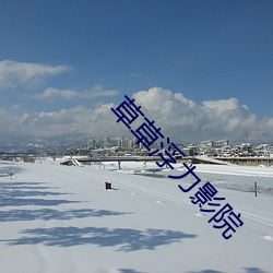 草草浮力影院 （经理）