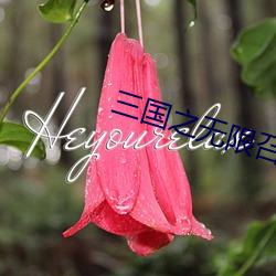 三国之无(無)限召唤
