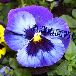 高清桌面背景