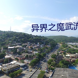 异界之(之)魔武流氓