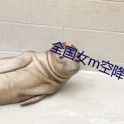 全国(國)女m空降