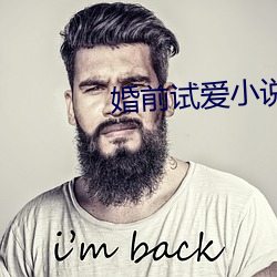 婚前试爱(ài)小说