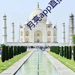 月(yu��)亮app直播