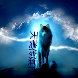 天美傳媒TM070