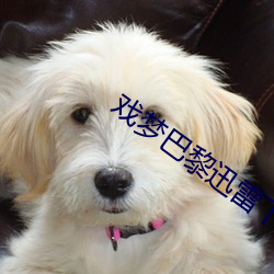 戏梦巴(bā)黎迅雷下(xià)载