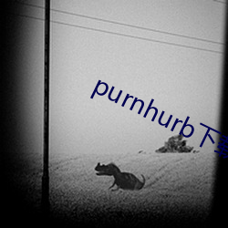 purnhurb下(下)载地址