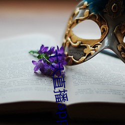 十大直播app盘她 （凤凰来仪）