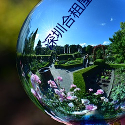 深圳合租(zū)屋康剑