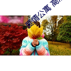 爱情公寓 高清