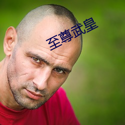 至尊武皇