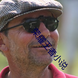 荣耀王者(者)小说
