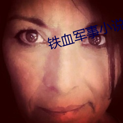 铁血军(jn)事小说