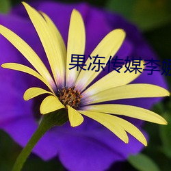 果冻传媒李娜
