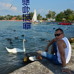 番茄导福航网站入口 溽暑）
