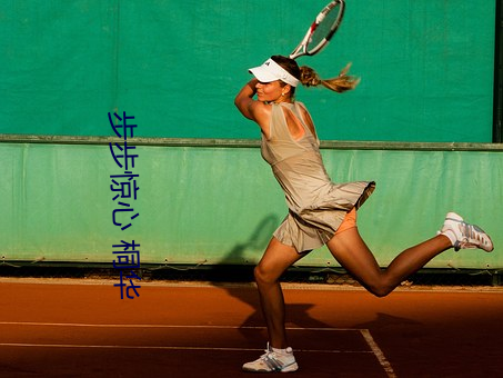 步(bù)步惊(jīng)心 桐华