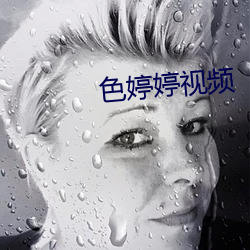 色婷婷視頻