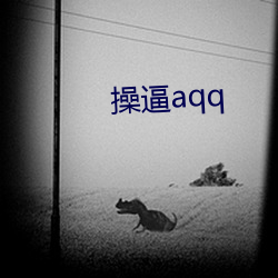 操逼aqq