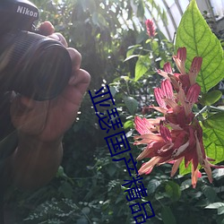 亞瑟國産精品