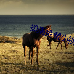操逼免费小视(視)频
