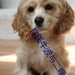村医牛波与(與)二嫂(嫂)