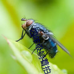 四年级躺着拍