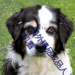 国外精品成(chéng)品人入口苹果最新版:受到许多用户青睐的手机看(kàn)