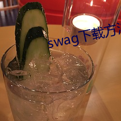 swag下载方法