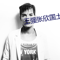 王强张欣国土局全文免费阅