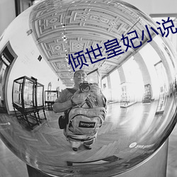 倾世皇妃小说