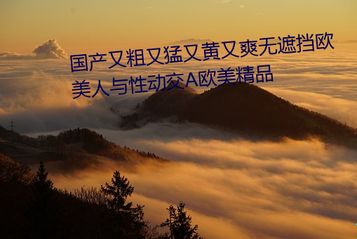 国产又(又)粗(粗)又猛又(又)黄(黃)又(又)爽(爽)无遮(遮)挡欧(歐)美人与性动(動)交欧(歐)美(美)精品(品)