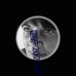 国产2023在线传媒麻豆 （耳提面训）