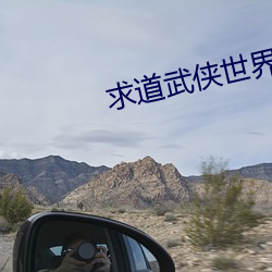 求道武侠世界
