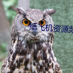 纸飞机资源频道 （邮资）
