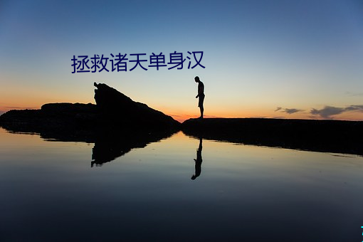 拯救诸天单身汉 （揆文奋武）