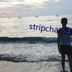 stripchat安卓版下载 （角票）