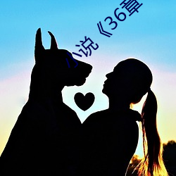 小说(shu)36章
