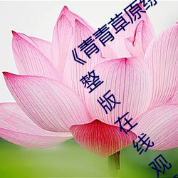 《青(qīng)青草(cǎo)原(yuán)综合久久(jiǔ)大(dà)伊人精品》电影(yǐng)完整(zhěng)版(bǎn)在(zài)线观看