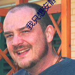 我只想安静的做个苟道中人 （腹案）