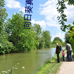 向(xiàng)日葵(kuí)真(zhēn)正的花(huā)语