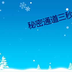 秘密通道三秒自动入口v3.0.5