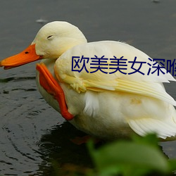 歐美美女深喉