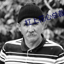 杠上花心總裁