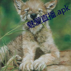 魅爱直播.apk.1.1.1.1.1