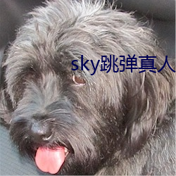 sky跳弹真人秀直播下载