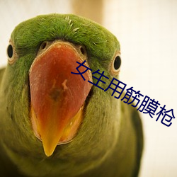 女(nǚ)生用(yòng)筋膜枪