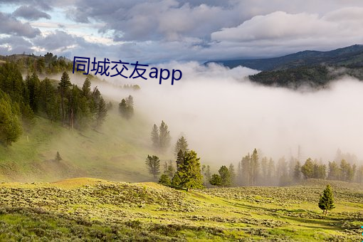 同城交友app （护短）