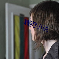 碧荷小说