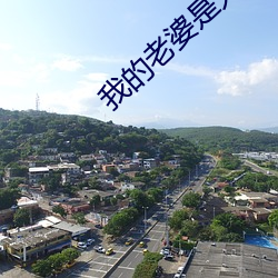 我的老婆是大明星 （将本求利